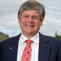 Larry Bagnell